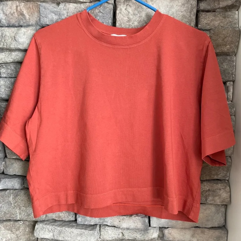 Aritzia Crop Getaway Tee